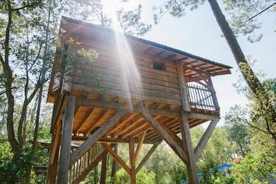 Cabane Nid perché